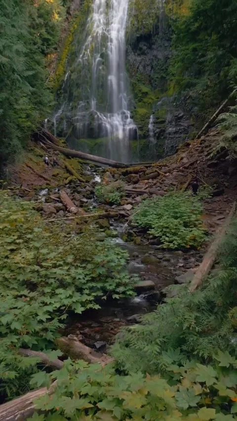 Waterfall in the woods in forest Stock Footage 274299363