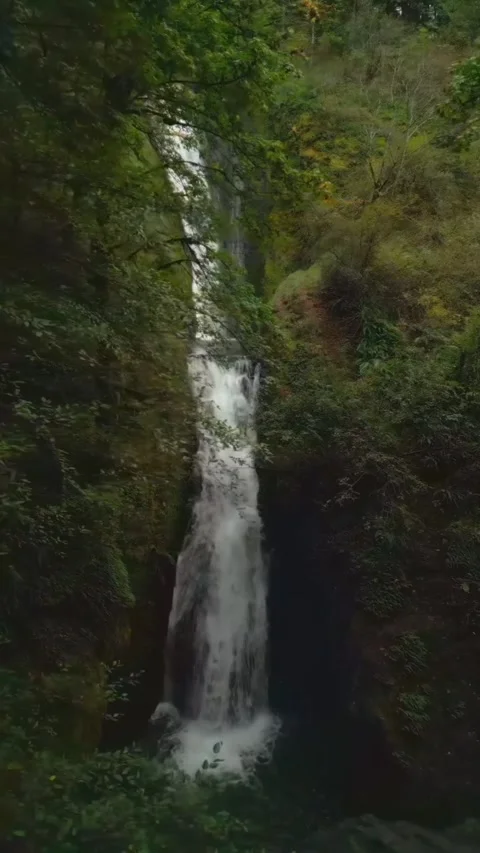 Waterfall in the woods looking beautiful Stock Footage 274044090
