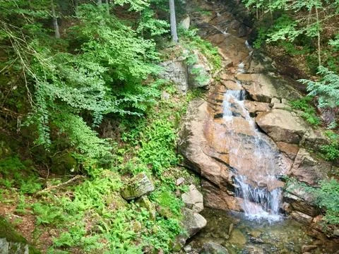 Waterfall in Woods Stock Photos