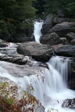 Waterfall in the woods Stock Photos