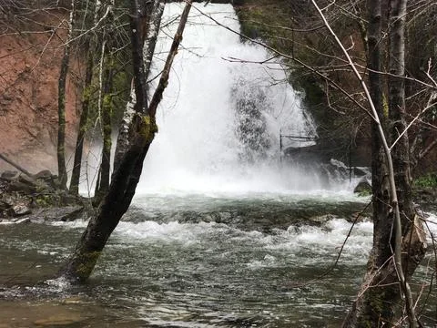 Waterfall in the woods Foto stock