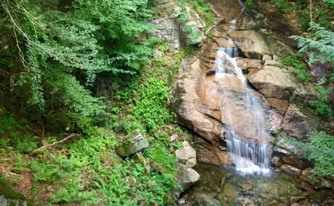 Waterfall in Woods (Slow Shutter) Stock Photos