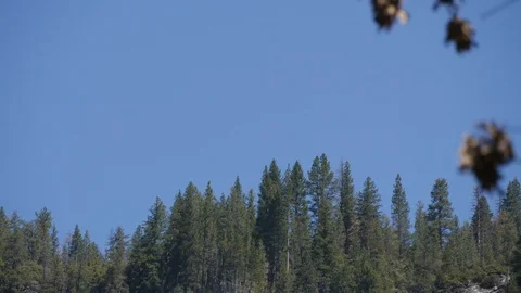 Waterfall In Yosemite Stock Footage 92312967