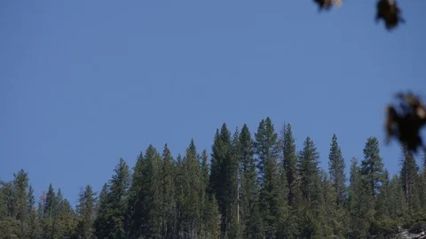 Waterfall In Yosemite Stock Footage 92313246