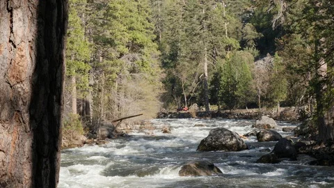 Waterfall In Yosemite Stock Footage 92315956
