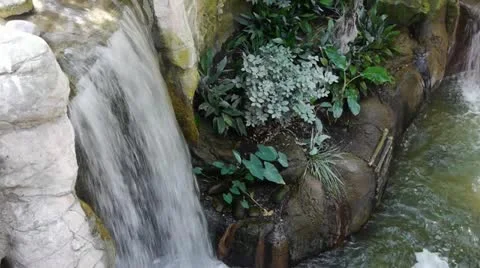 Waterfall at Zoo Stock-Footage 11389696