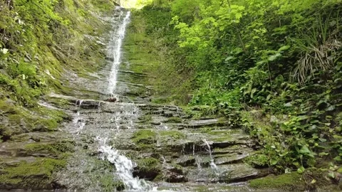 Waterfall07 Video stock 312909078