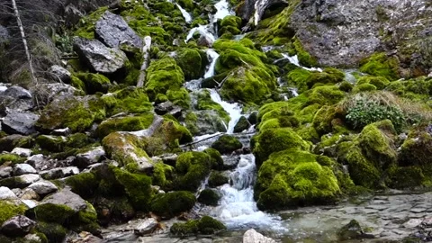 Waterfall10 Video stock 164976250