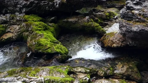 Waterfall12 Stock-Footage 164976070