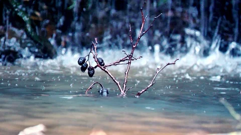 Waterfall3 Stock Footage 126285273