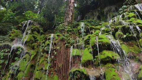 Waterfall(4) Video stock 280401543