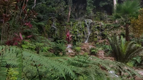 Waterfall(8) Stock-Footage 280404056