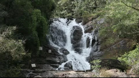 Waterfall_LDA N 00403 Video stock 9755618