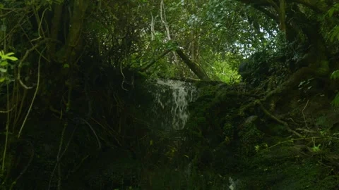 Waterfalling from top of waterfall Stock Footage 260370585
