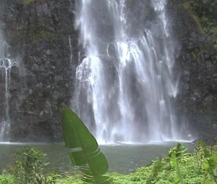 Waterfall/Landscape 2 Vídeo Stock 356933