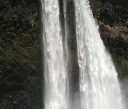 Waterfall/Landscape 6 Vídeo Stock 356936