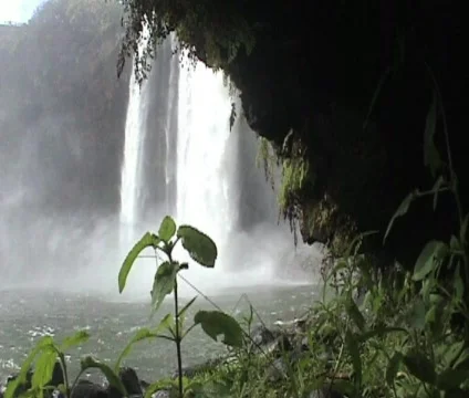 Waterfall/Landscape 8 Stock-Footage 356938