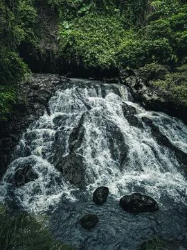 Waterfallquiet stream flowing through trees, calm cascade tumbling over stones Stock Photos
