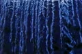 Waterfalls 210fps 03 Slow Motion Loop SD Footage