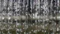 Waterfalls 240fps LM06 Slow Motion x80 HD Footage