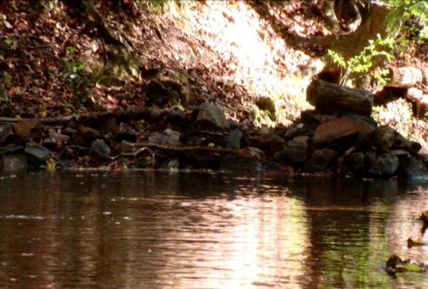 Waterfalls 29 Stock Footage 132337