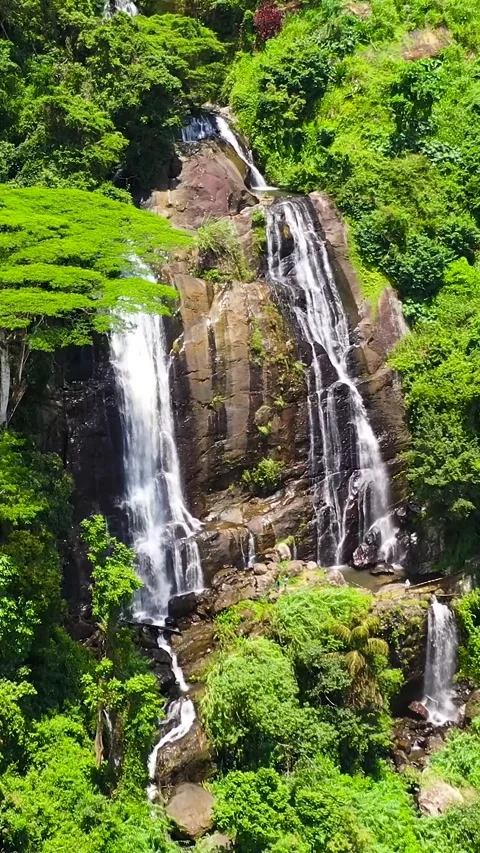 Waterfalls among the green forest. Stock Footage 252184726