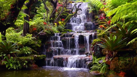 Waterfalls and forests at Tham Pha Daen Temple, Sakon Nakhon Province,Thailand. Stock Footage 139150302