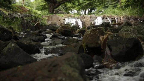 Waterfalls And Streams (2) Stock Footage 104827915