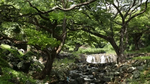 Waterfalls And Streams Stock Footage 104826850