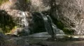Waterfalls BC 01 Dolly L HD Footage