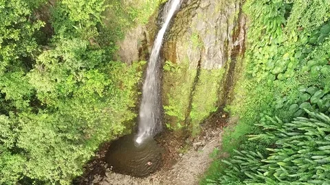Waterfalls in the caribbean Stock Footage 88583306