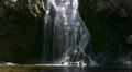 Waterfalls CC 01 Loop HD Footage