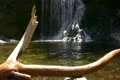 Waterfalls CC 03 Dolly R SD wide Footage