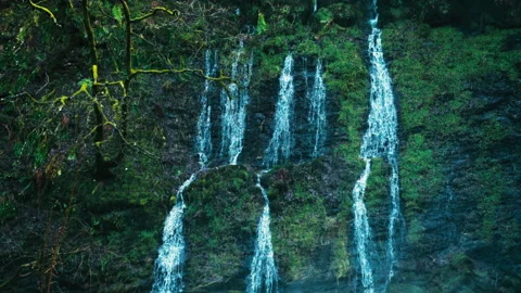 Waterfalls on the cliff Stock Footage 316105822