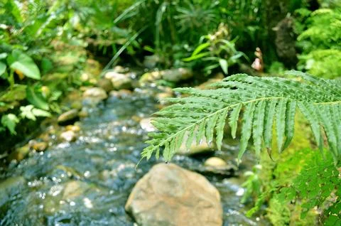 Waterfalls created by nature. Stock Photos