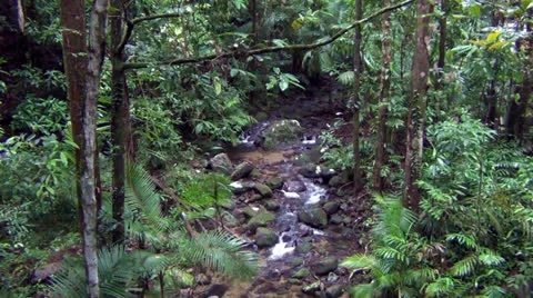 Waterfalls in Daintree Forest Stock Footage 26309151