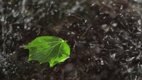 Waterfalls falling on a leaf in slow motion Video stock 296713463