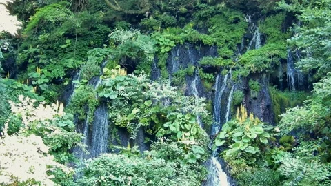 Waterfalls flowing down the rock face and green scenery Stock Footage 325641542