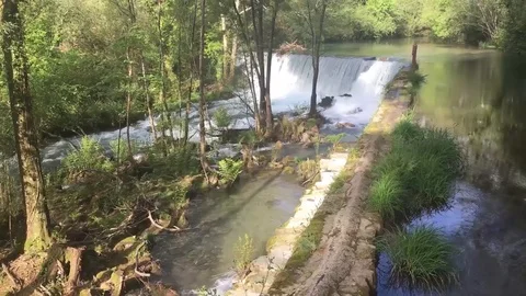 Waterfalls flowing in a forest Stock Footage 124999820