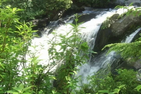 Waterfalls Stock Footage 335559