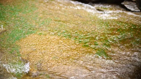 Waterfalls Stock Footage 75799525