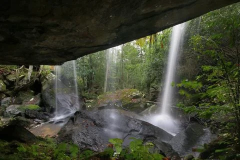 Waterfalls with a forest in the background, Brisbane Water National Park, Centra Stock Photos