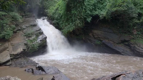 Waterfalls in the forest Stock Footage 131846332