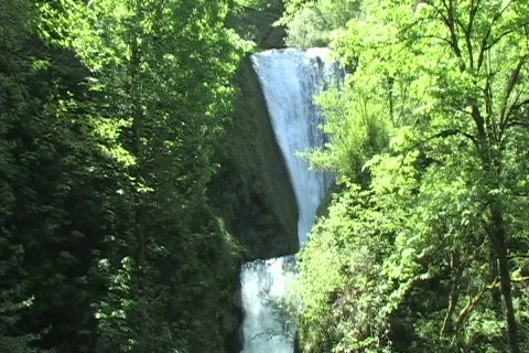 Waterfalls hidd in forest 库存影片 306404