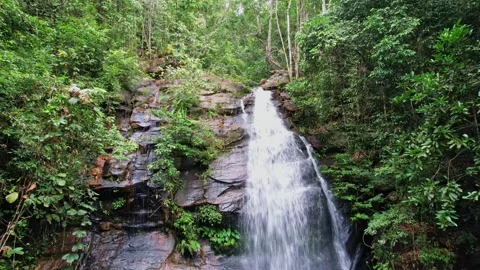 Waterfalls in the jungle from Philippines 스톡 동영상 244272695
