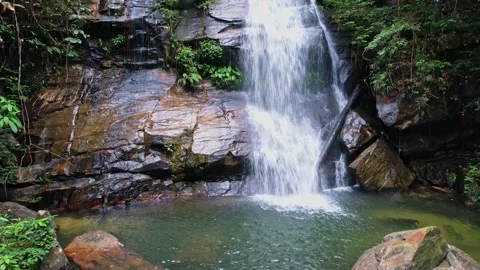 Waterfalls in the jungle from Philippines Видео 244272706