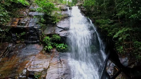 Waterfalls in the jungle from Philippines 스톡 동영상 244272986