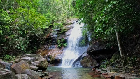 Waterfalls in the jungle from Philippines Stock Footage 244273034
