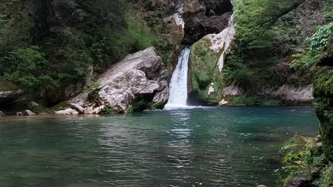 Waterfalls in the lake in the forest Stock Footage 244011883