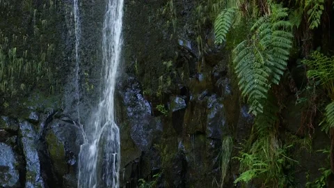 Waterfalls in Madeira Видео 142130343